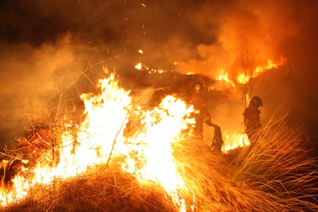 Incendio boschivo di notte sulle alture di Imperia